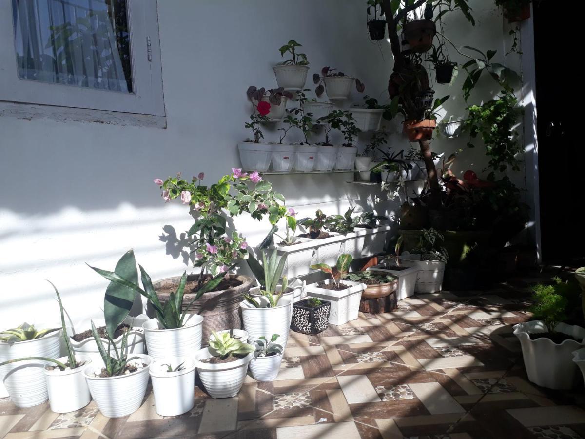 Bumimi Homestay Painan Ngoại thất bức ảnh