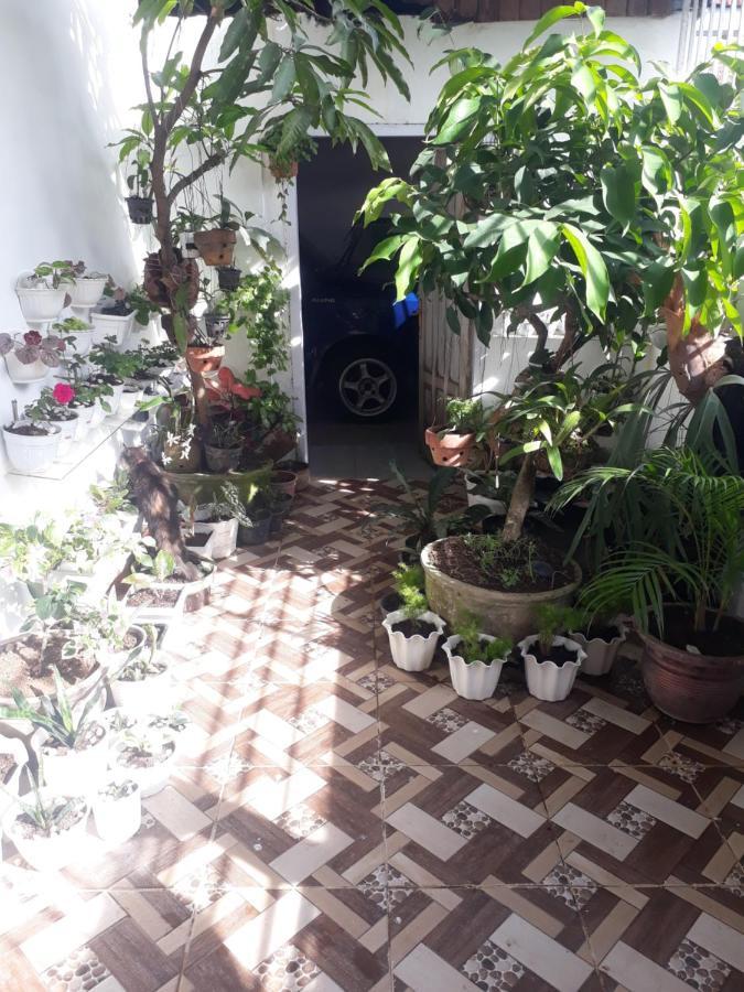 Bumimi Homestay Painan Ngoại thất bức ảnh