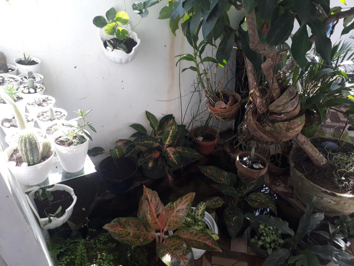 Bumimi Homestay Painan Ngoại thất bức ảnh